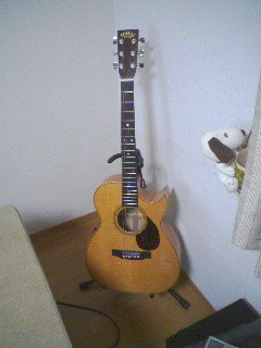 アストリアス EC Maple