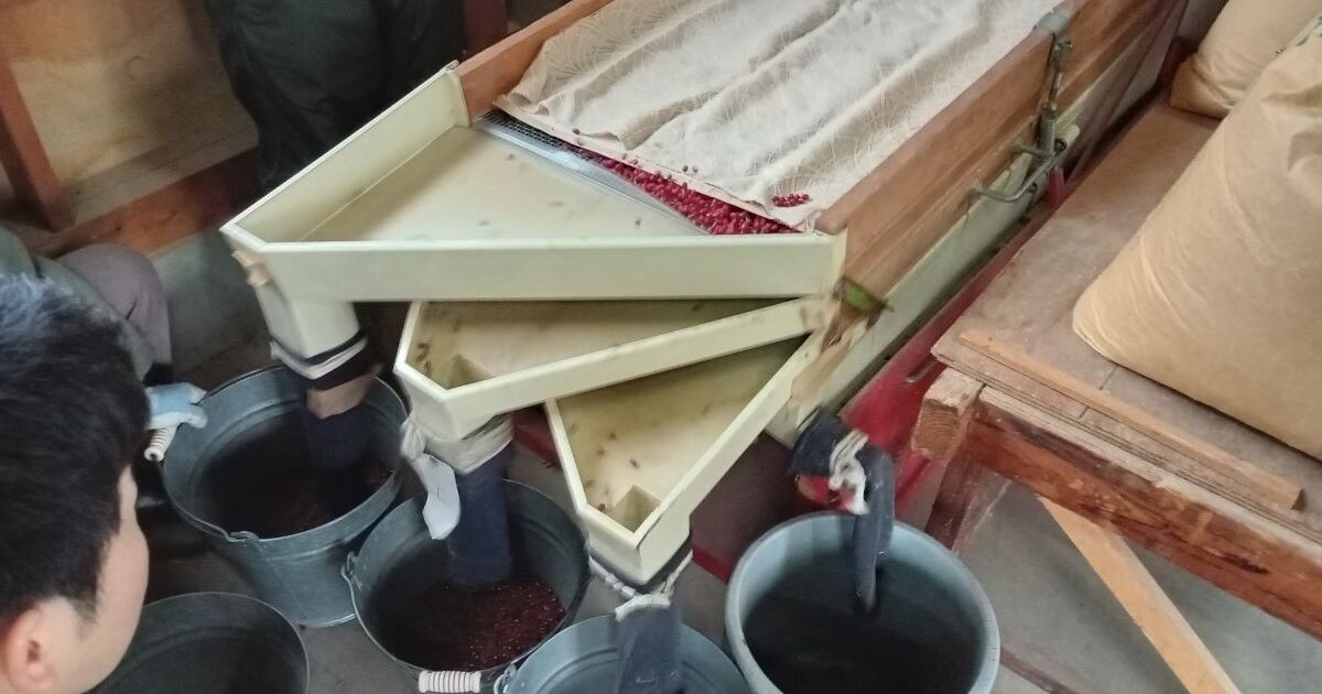 小豆の選別