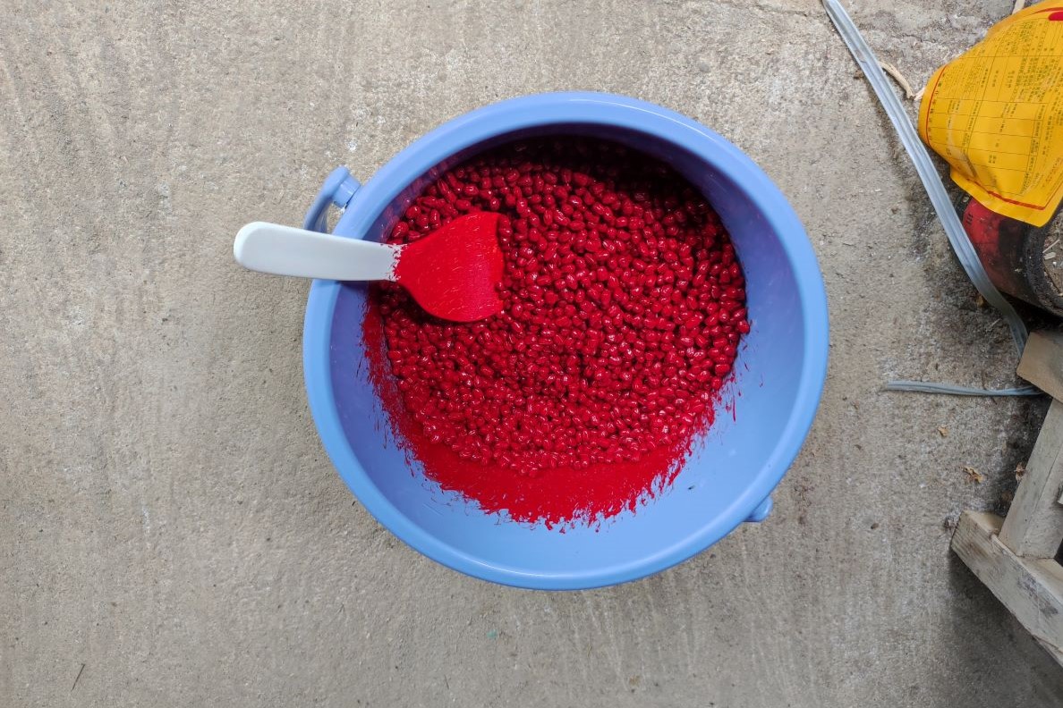 小豆の播種準備(種にキヒゲン)